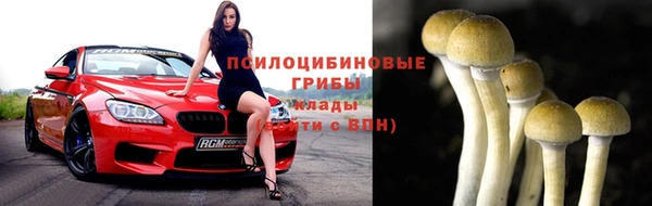 альфа пвп Горнозаводск