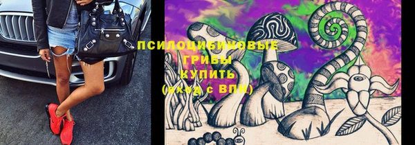 альфа пвп Горнозаводск