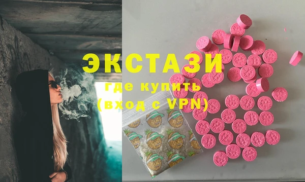 ECSTASY Гусев