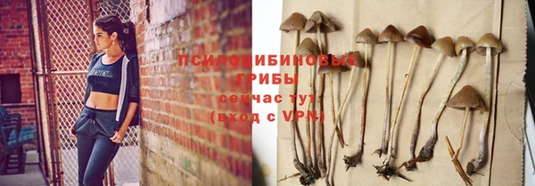 прущая мука Горно-Алтайск
