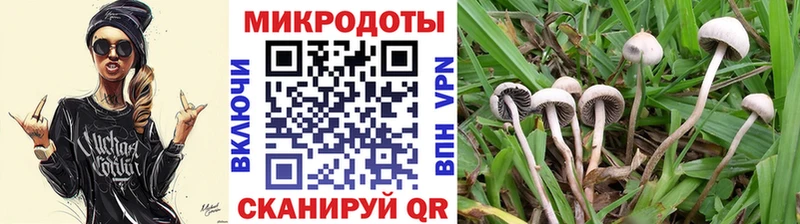 Галлюциногенные грибы мухоморы  как найти закладки  Монино 